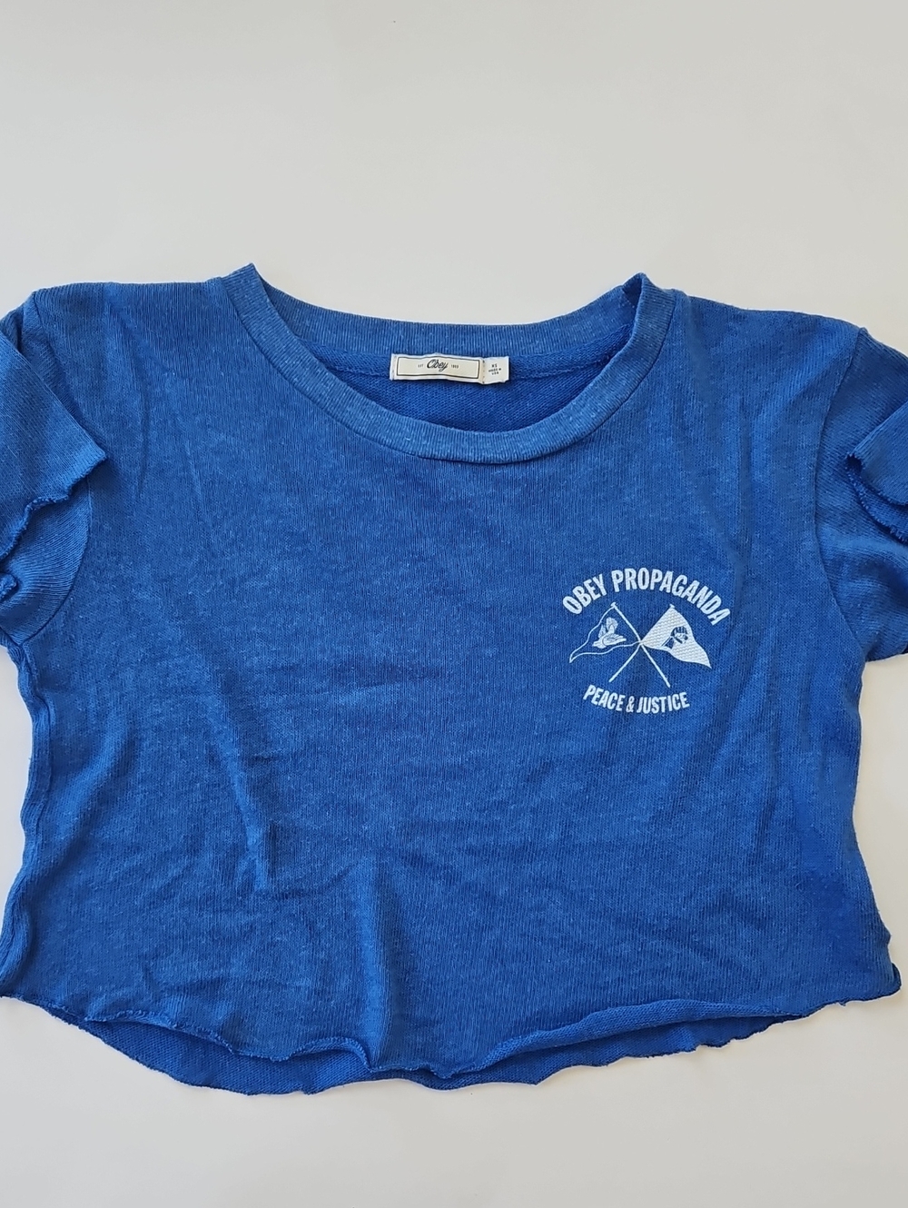 Obey Blue Graphic Tee with White Logo